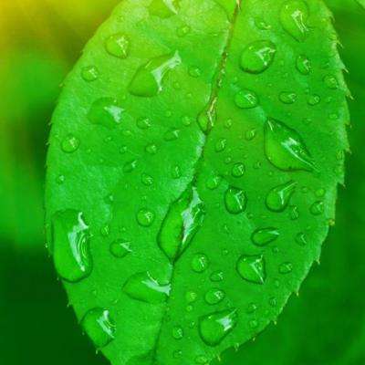 幸运彩票app官方版下载